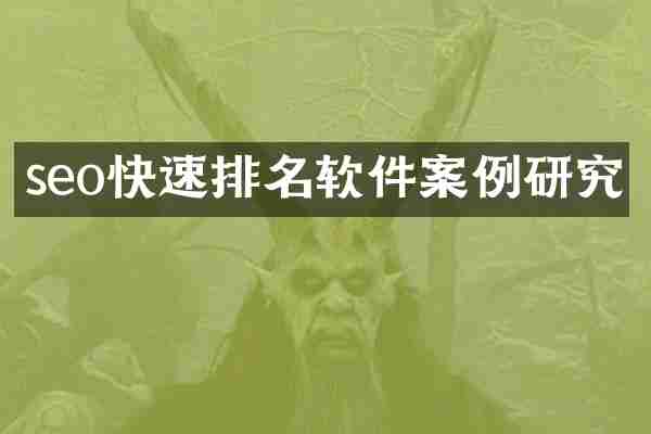seo快速排名软件案例研究