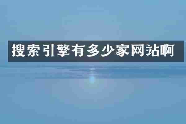 搜索引擎有多少家网站啊
