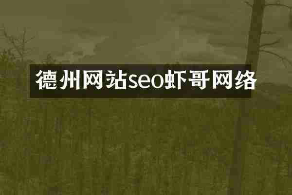 德州网站seo虾哥网络