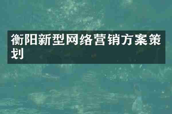 衡阳新型网络营销方案策划