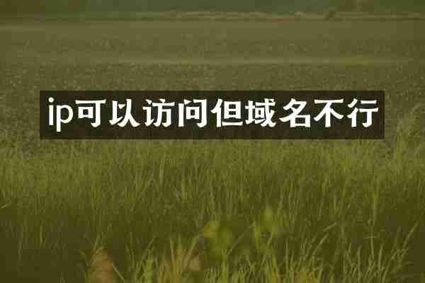 ip可以访问但域名不行
