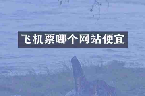 飞机票哪个网站便宜