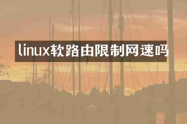 linux软路由限制网速吗
