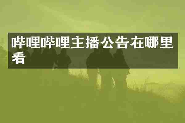 哔哩哔哩主播公告在哪里看