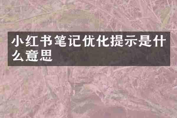 小红书笔记优化提示是什么意思