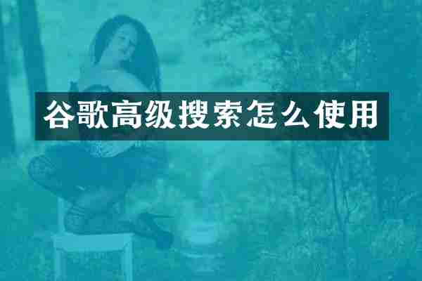 谷歌高级搜索怎么使用