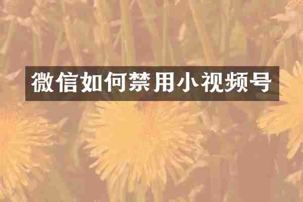 微信如何禁用小视频号