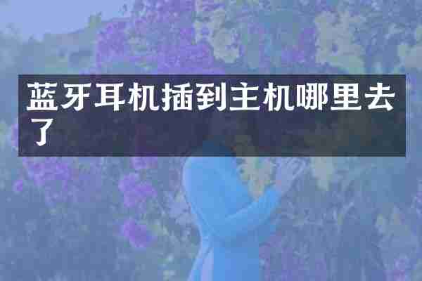 蓝牙耳机插到主机哪里去了