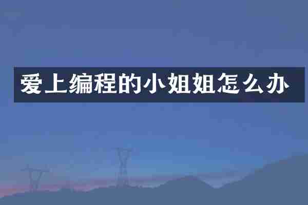 爱上编程的姐怎么办