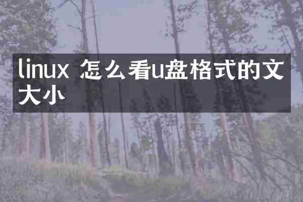 linux 怎么看u盘格式的文件大小
