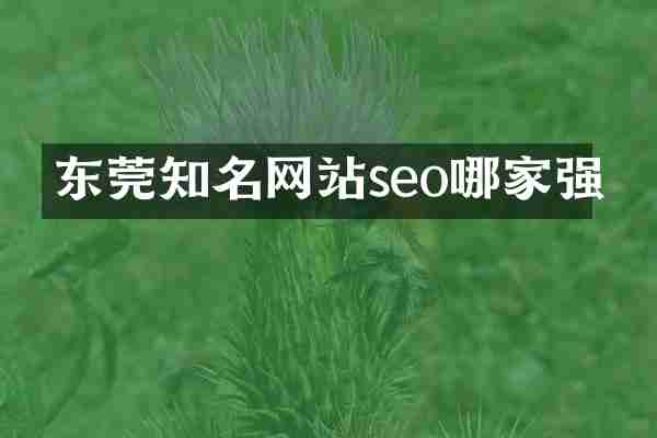 东莞知名网站seo哪家强