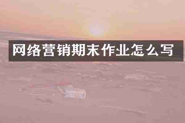 网络营销期末作业怎么写