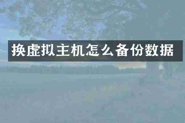 换虚拟主机怎么备份数据