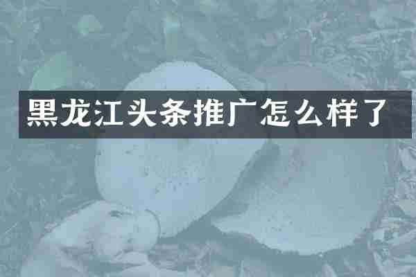 黑龙江头条推广怎么样了