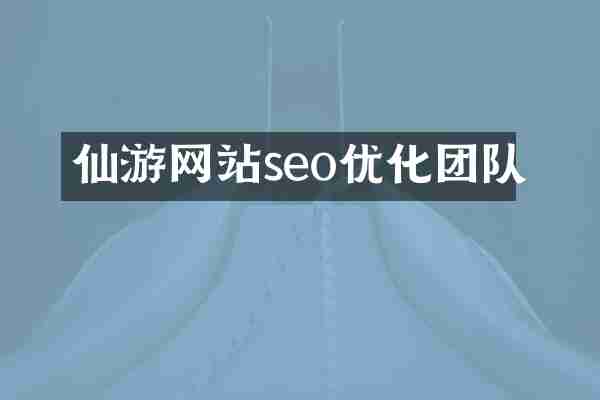仙游网站seo优化团队