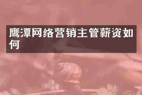 鹰潭网络营销主管薪资如何