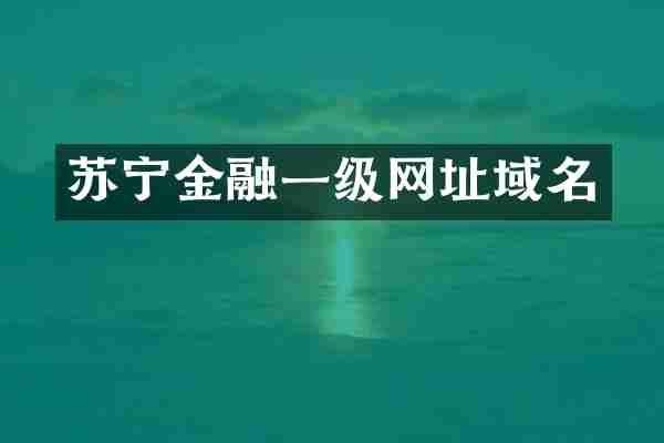 苏宁金融一级网址域名