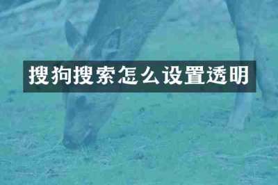 搜狗搜索怎么设置透明