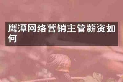 鹰潭网络营销主管薪资如何