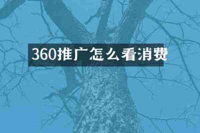 360推广怎么看消费