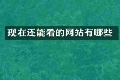 现在还能看的网站有哪些