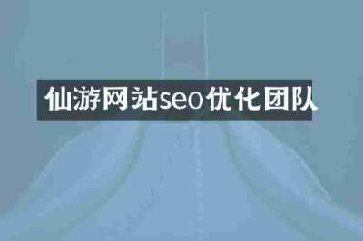 仙游网站seo优化团队