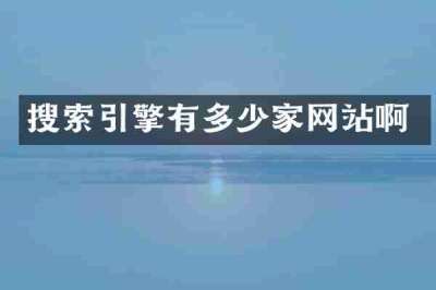 搜索引擎有多少家网站啊