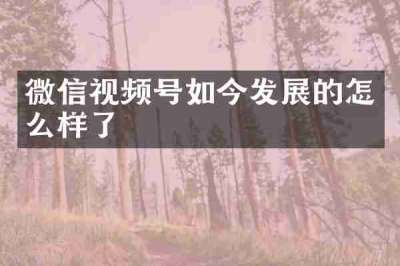 微信视频号如今发展的怎么样了