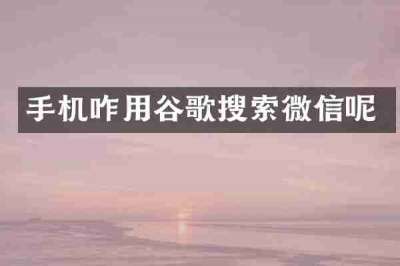 手机咋用谷歌搜索微信呢