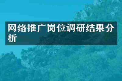 网络推广岗位调研结果分析