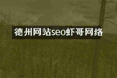 德州网站seo虾哥网络