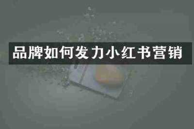 品牌如何发力小红书营销