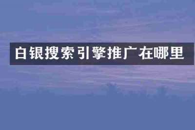 白银搜索引擎推广在哪里
