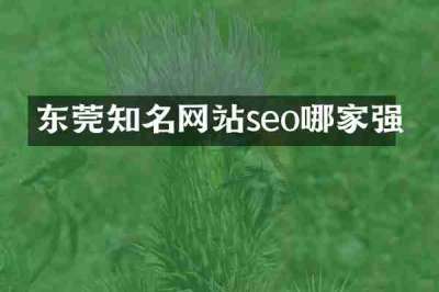 东莞知名网站seo哪家强