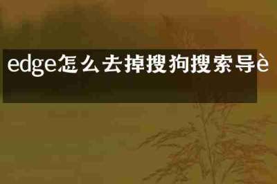 edge怎么去掉搜狗搜索导航