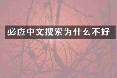 必应中文搜索为什么不好