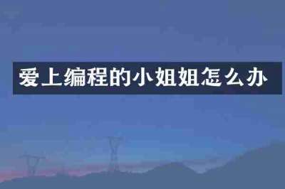 爱上编程的小姐姐怎么办