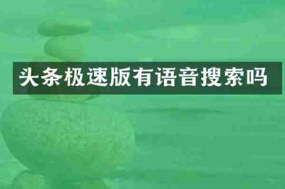 头条极速版有语音搜索吗