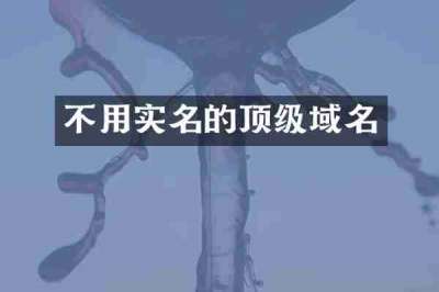 不用实名的顶级域名
