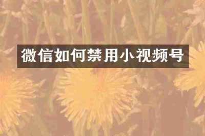 微信如何禁用小视频号