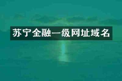 苏宁金融一级网址域名