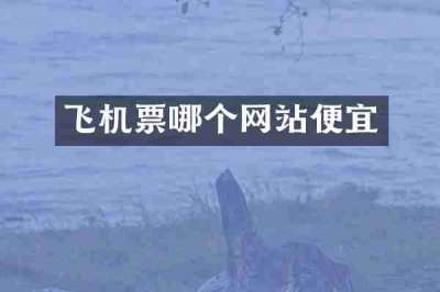 飞机票哪个网站便宜