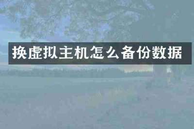 换虚拟主机怎么备份数据