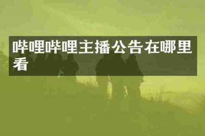 哔哩哔哩主播公告在哪里看