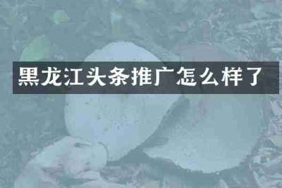 黑龙江头条推广怎么样了