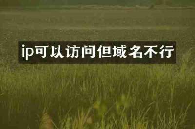 ip可以访问但域名不行
