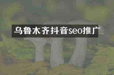 乌鲁木齐抖音seo推广