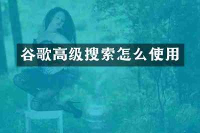 谷歌高级搜索怎么使用