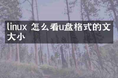 linux 怎么看u盘格式的文件大小
