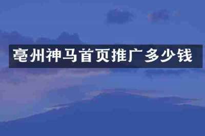 亳州神马首页推广多少钱